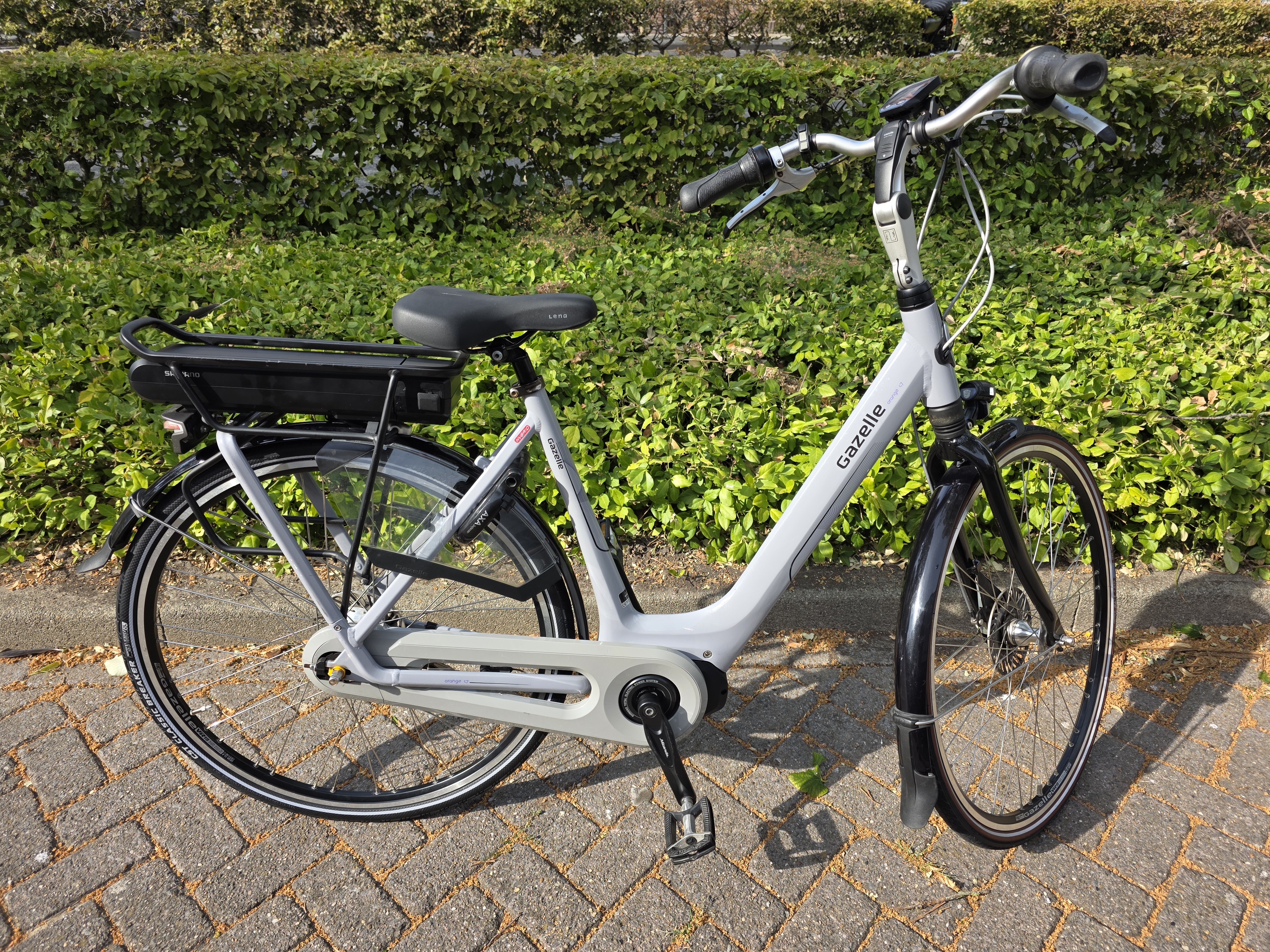 Uploaded Image